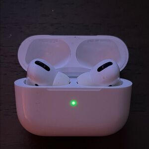 Apple White Earbud Headphones with new rubber ear tips!